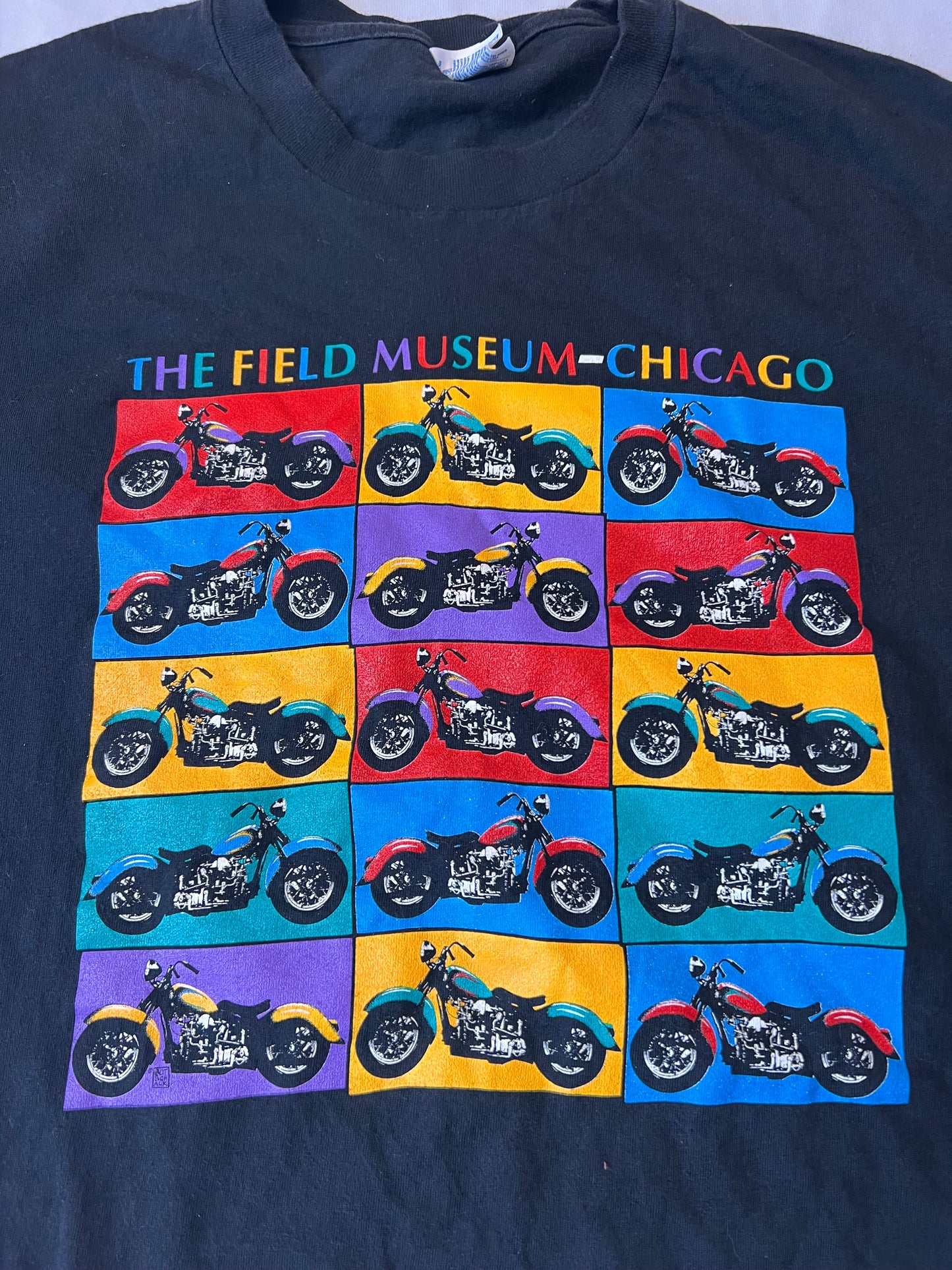 Vintage Field Museum of Chicago Tshirt (Large)